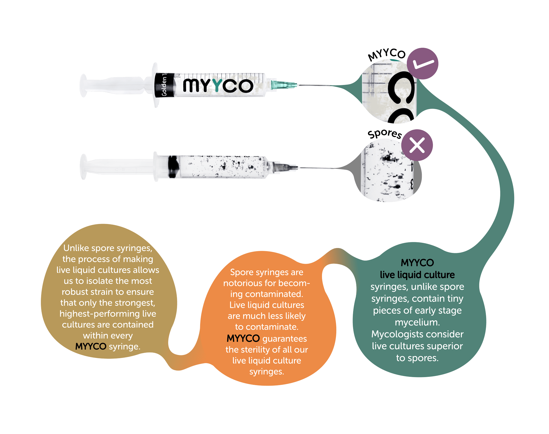liquid culture syringes