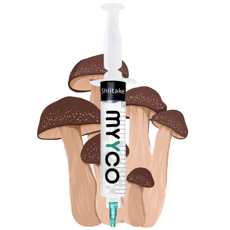 Shiitake (10cc)